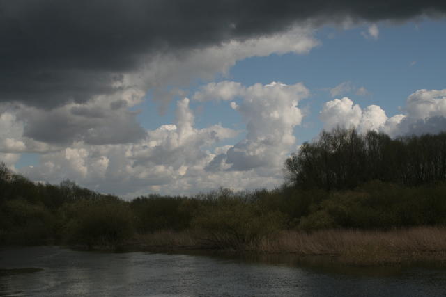 Elbe - Vier