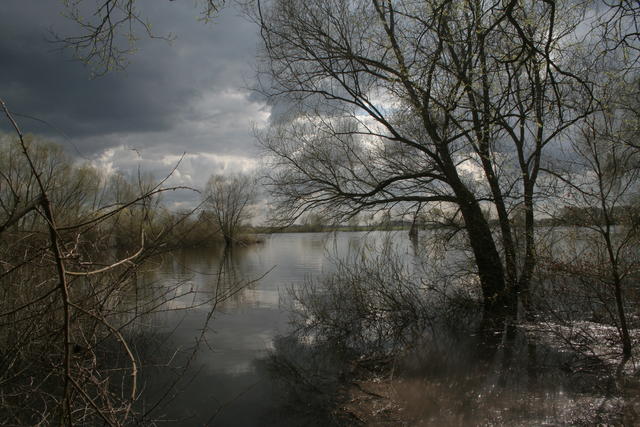 Elbe - Vier