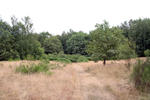 Bretziner Heide