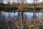 Teich auf dem Feld