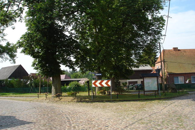 Katzenmarkt