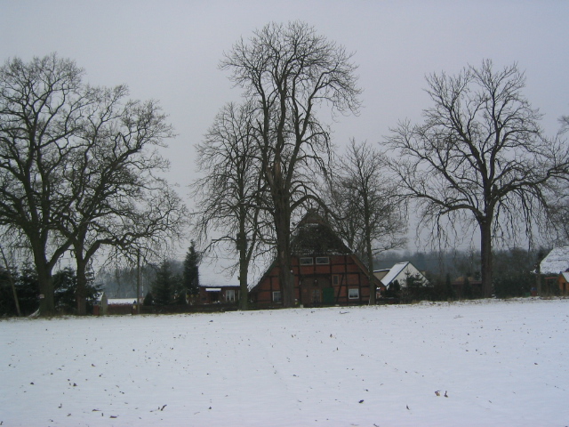 Kiebitzberg im Winter