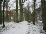 Der Park im Winter