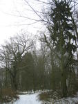 Der Park im Winter