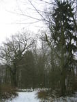 Der Park im Winter