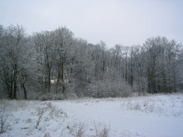 Am Schloss im Winter