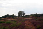 Hügelgräber in der Bretziner Heide