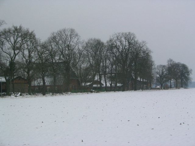 Kiebitzberg im Winter