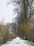 Dersenower Weg im Winter