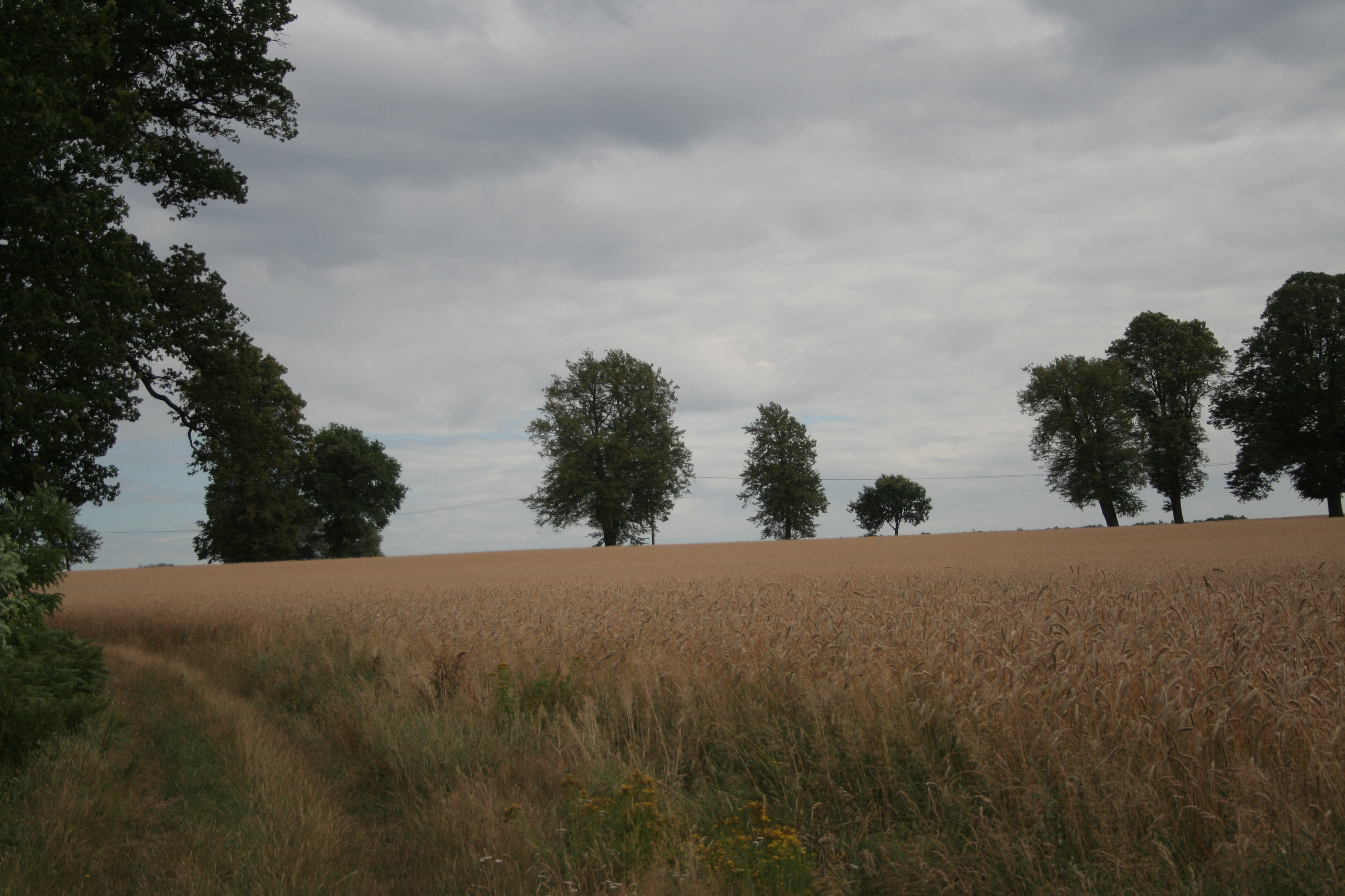 Hinter dem Park - Rundblick