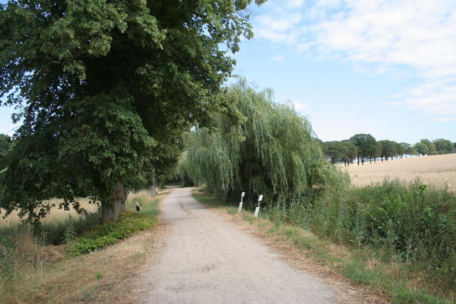 Dersenower Weg