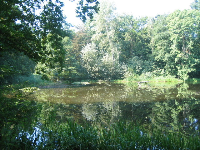 Schlossteich