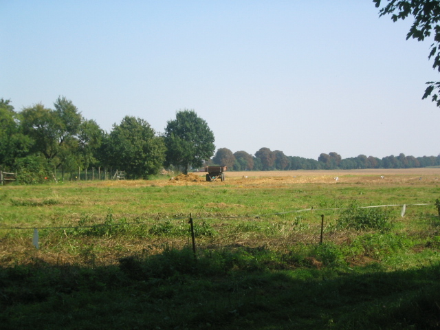 An den Dorftannen