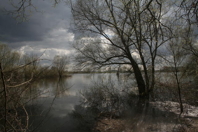 Elbe - Vier