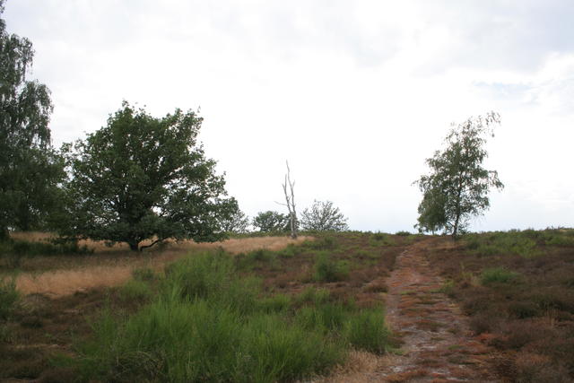 Bretziner Heide