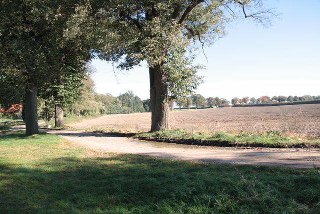 Dersenower Weg - Blickrichtung Neu Banzin