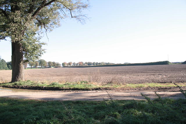 Dersenower Weg - Blickrichtung Neu Banzin