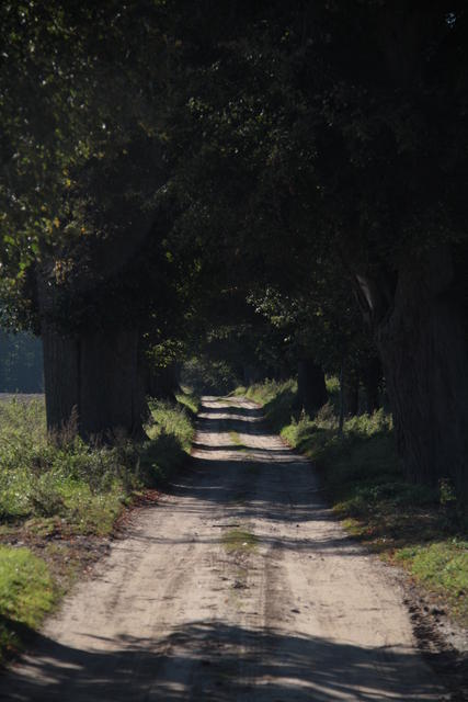 Dersenower Weg - Blickrichtung Dersenow