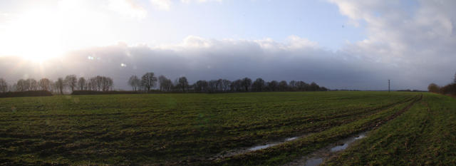 Feld - Panorama