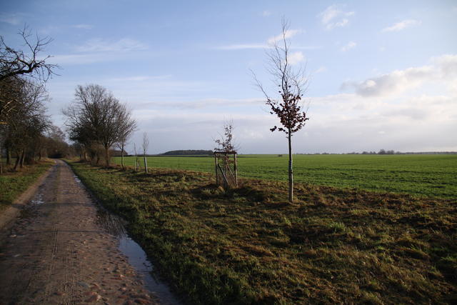 Vellahner Weg