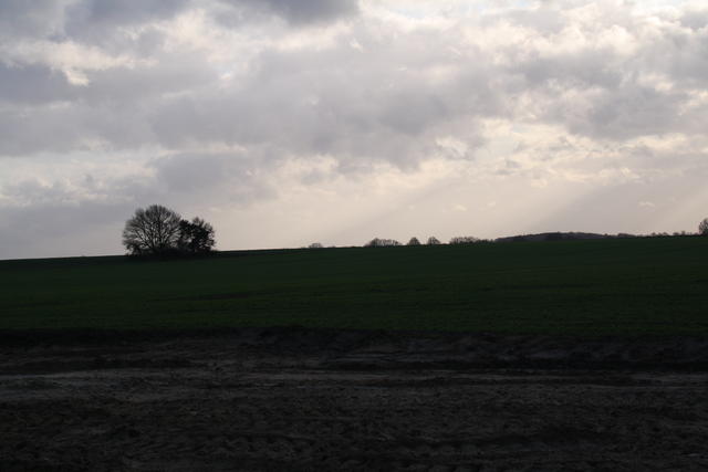 Blick übers Feld