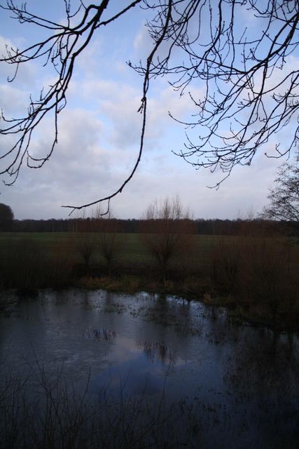 Teich auf dem Feld