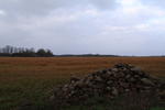 Blick übers Feld - Kiebitzberg