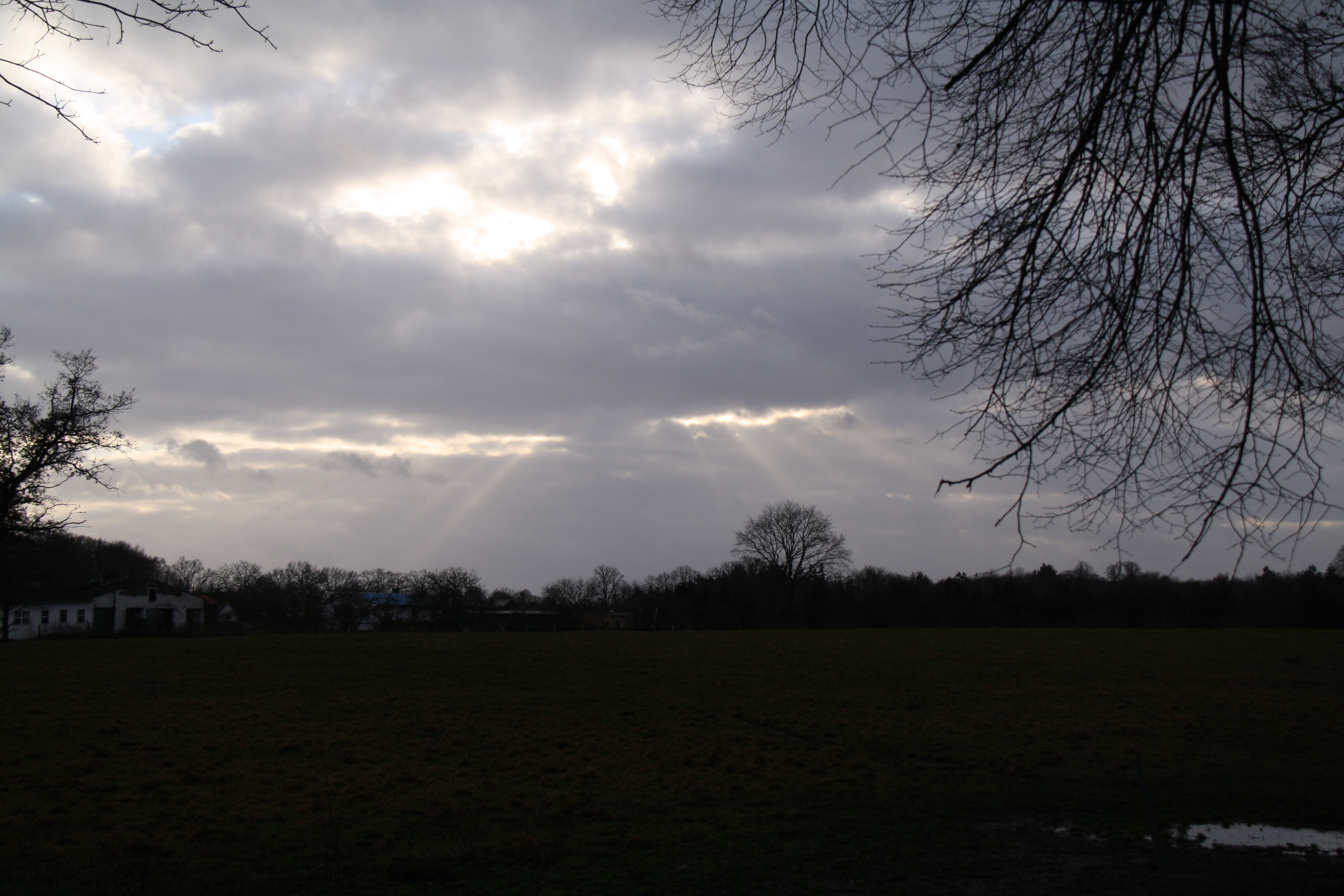 Wiesenblick mit Sonnenspiel