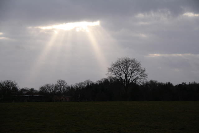 Wiesenblick mit Sonnenspiel