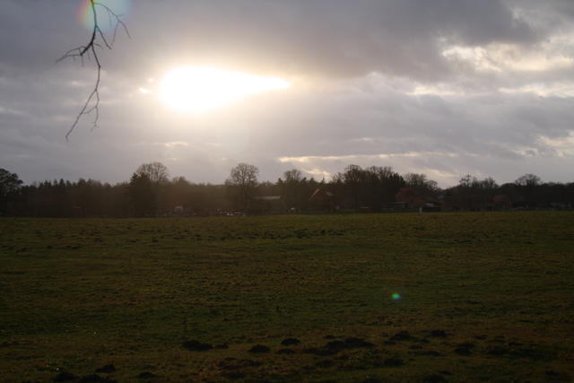 Wiesenblick mit Sonnenspiel