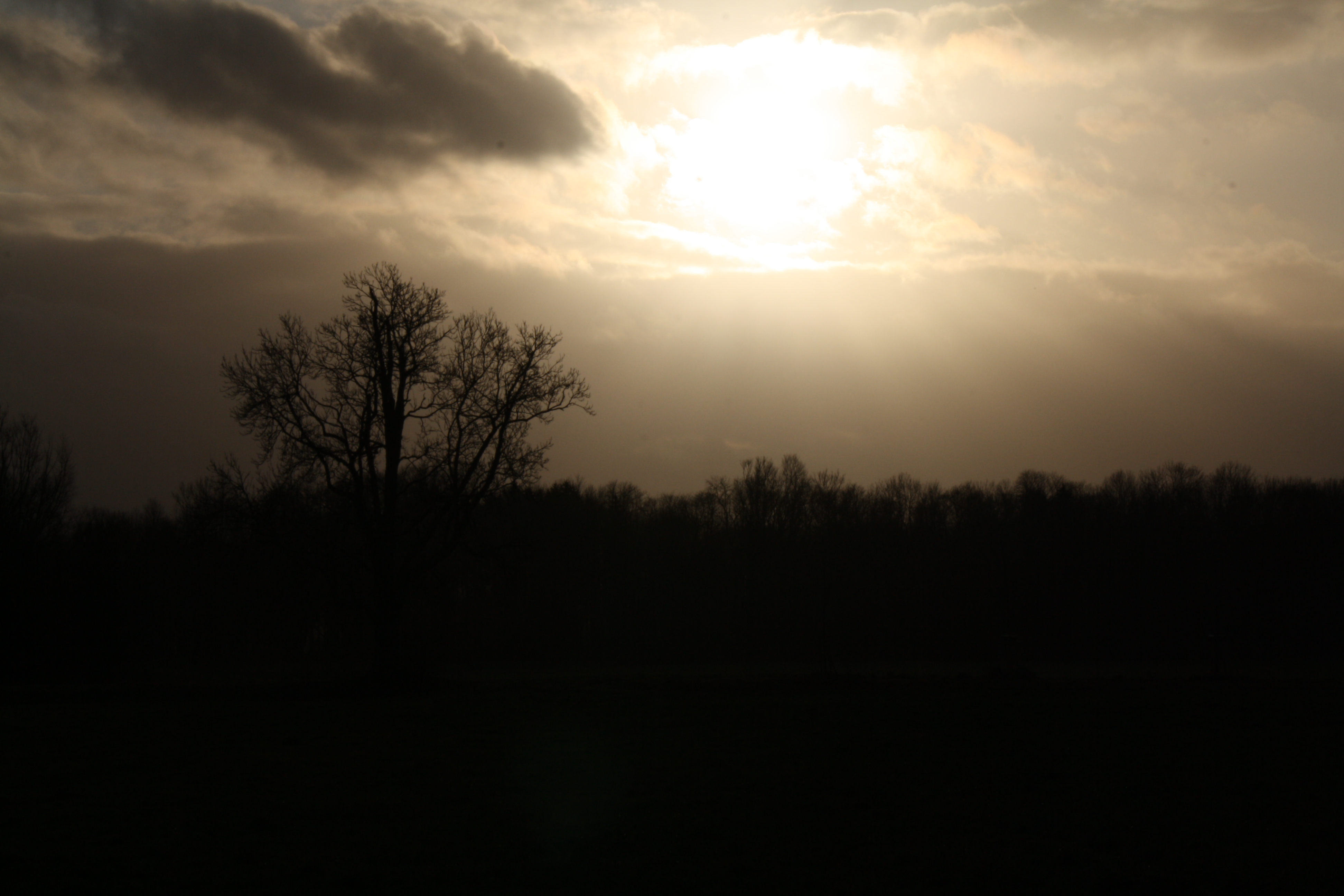 Sonnenfleck über den Wiesen