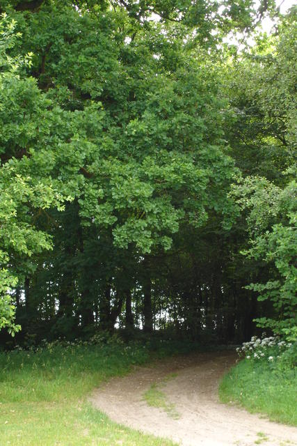 Sportplatz - Richtung Dorftannen