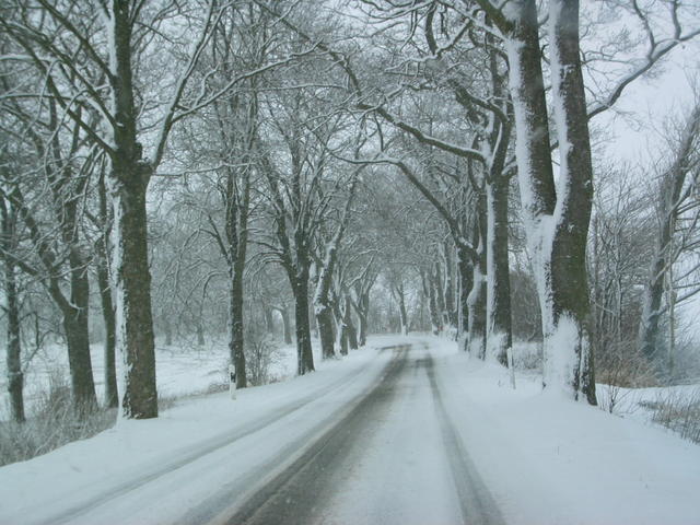 Der Weg nach Banzin im Winter