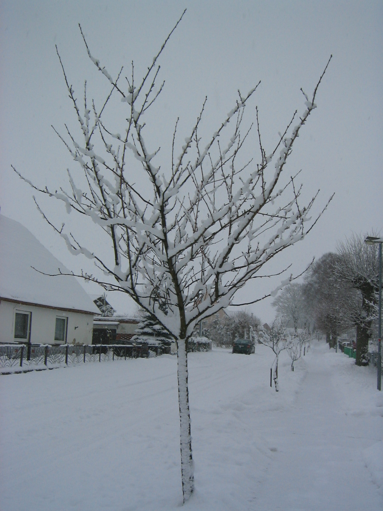 Vellahner Weg im Winter