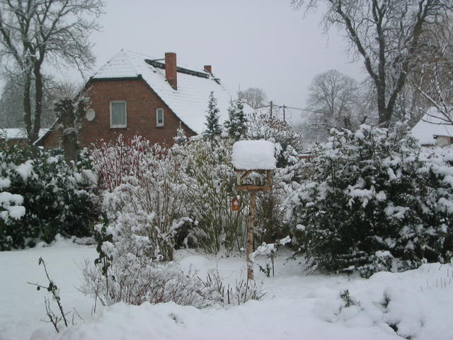 Vellahner Weg im Winter