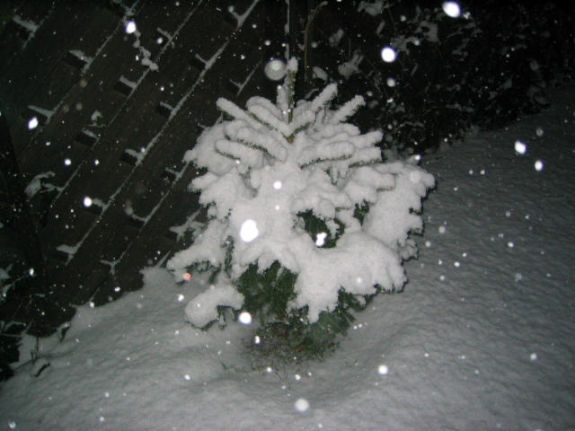 Schneegestöber in Banzin
