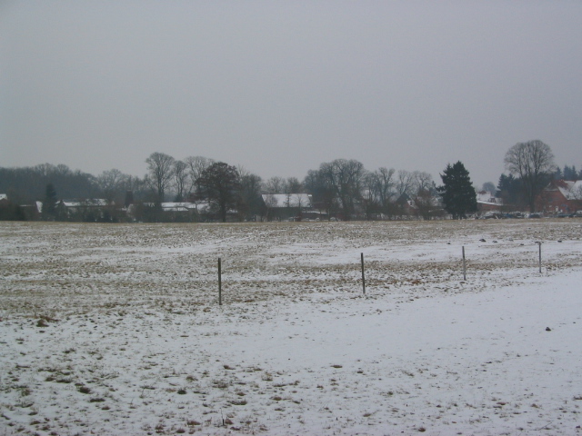 Weiße Wiesen