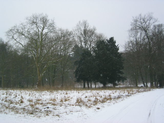 Am Schloss im Winter