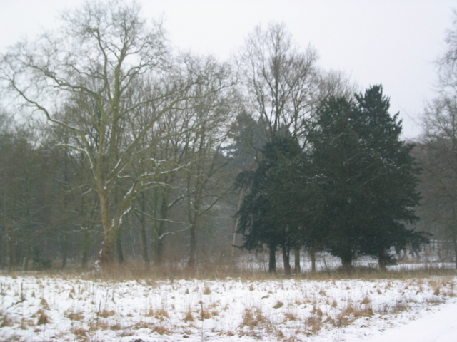 Schlossteich im Winter