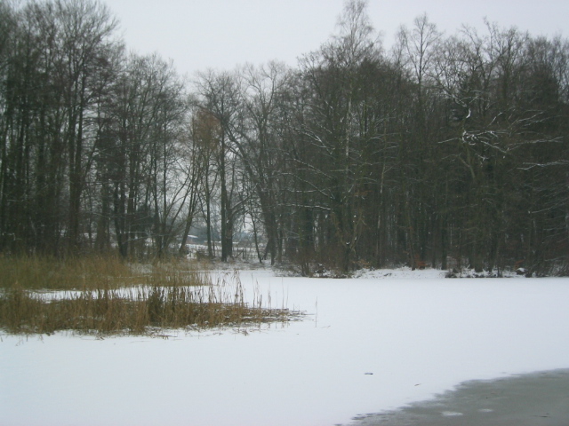 Schlossteich im Winter