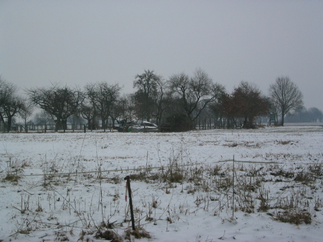 Der Obstgarten im Winter