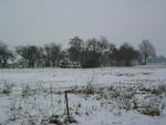 Der Obstgarten im Winter