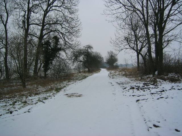 Vellahner Weg im Winter