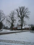 Katzenmarkt im Winter