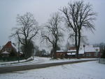 Katzenmarkt im Winter