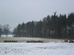 Blickrichtung Park im Winter