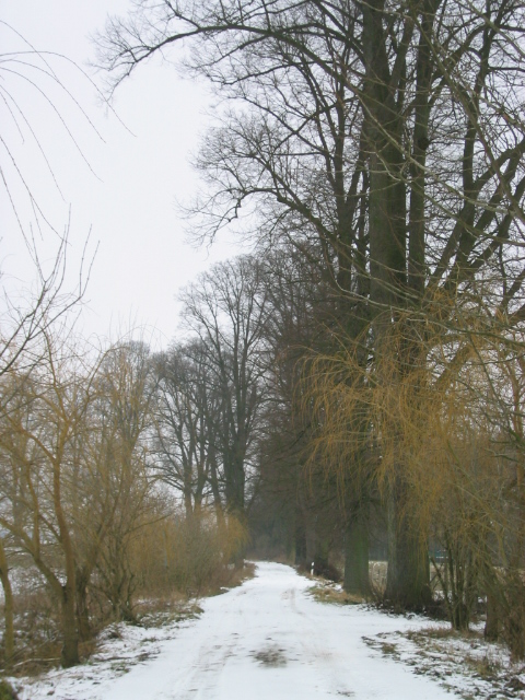 Dersenower Weg im Winter