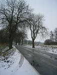 Blickrichtung Hirschkrug im Winter