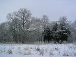 Am Schloss im Winter