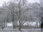 Winter - Rundblick aus dem Schloss